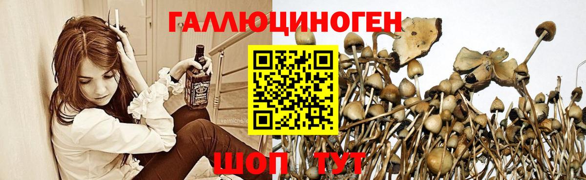 Муравленко  Галлюциногенные грибы мицелий  Вход с VPN 